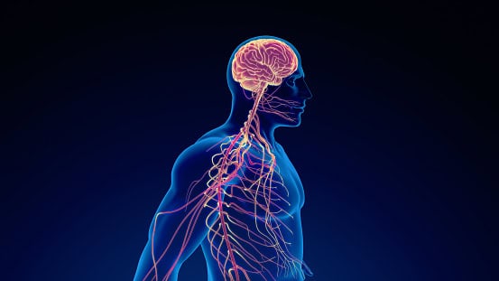 You Can’t ‘Breathe Your Way’ To A Nervous System Reset